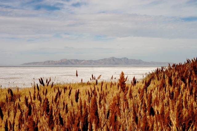 View from the visitor center -  Great Salt Lake State Park
